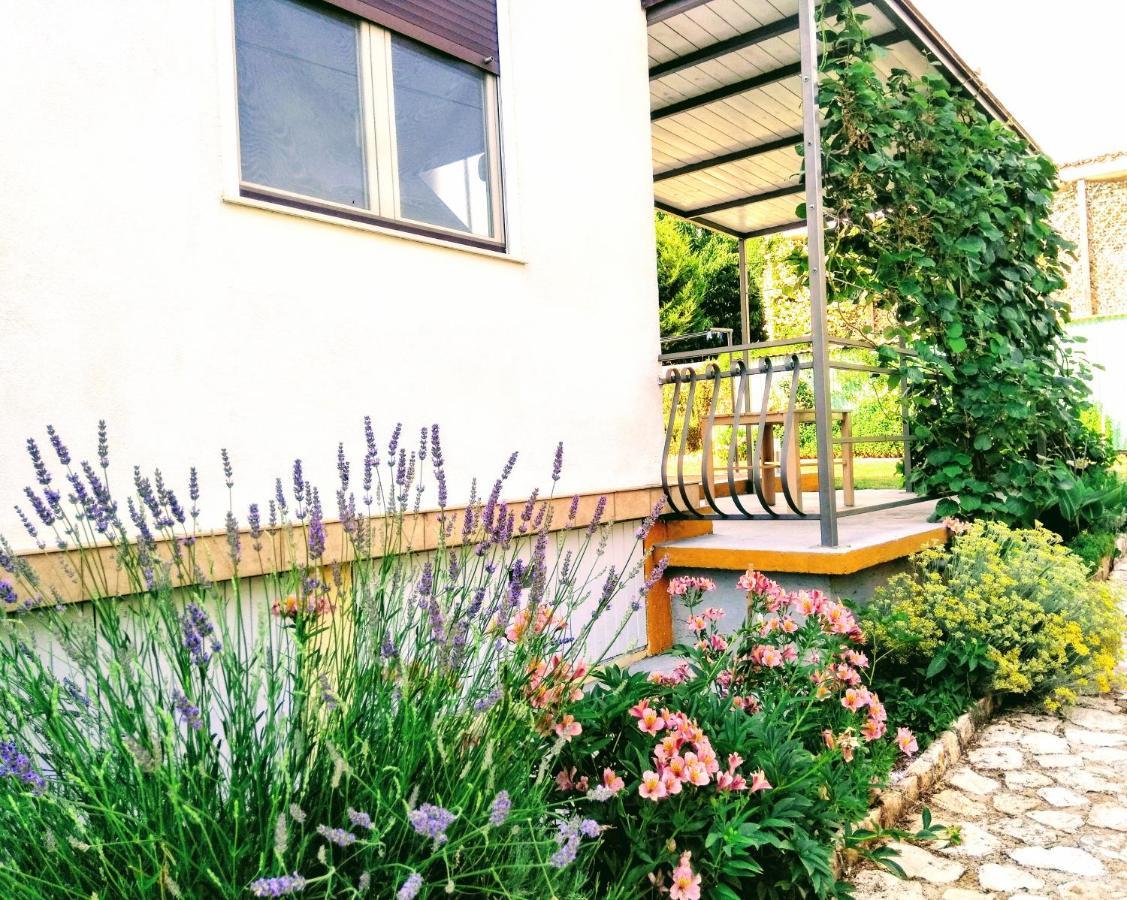 Apartments And Room Markovic Rovinjsko Selo Εξωτερικό φωτογραφία