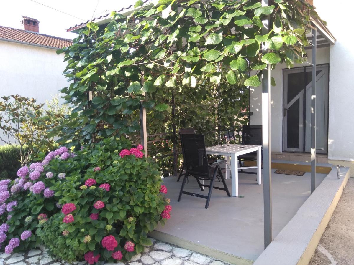 Apartments And Room Markovic Rovinjsko Selo Εξωτερικό φωτογραφία
