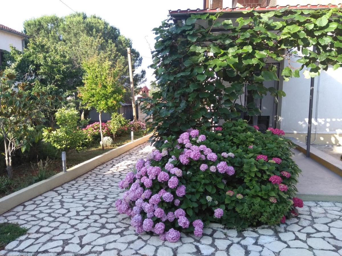 Apartments And Room Markovic Rovinjsko Selo Εξωτερικό φωτογραφία