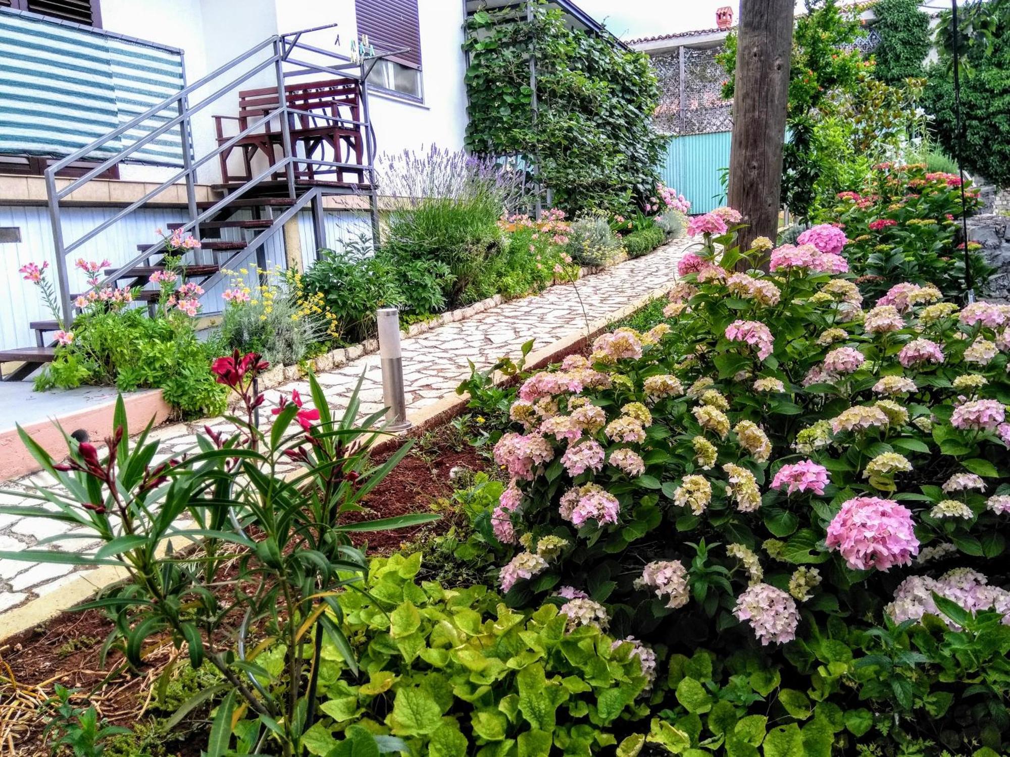 Apartments And Room Markovic Rovinjsko Selo Εξωτερικό φωτογραφία