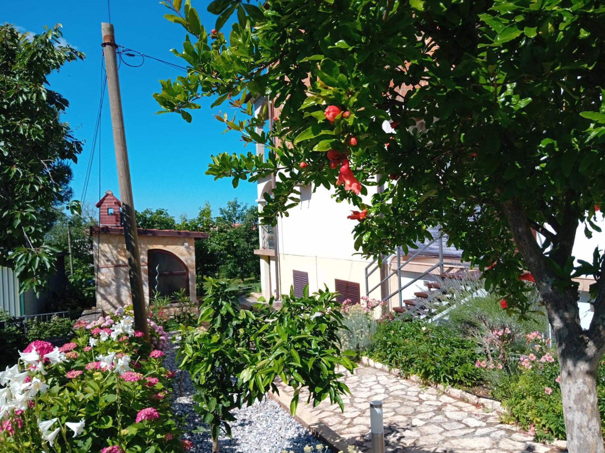 Apartments And Room Markovic Rovinjsko Selo Εξωτερικό φωτογραφία