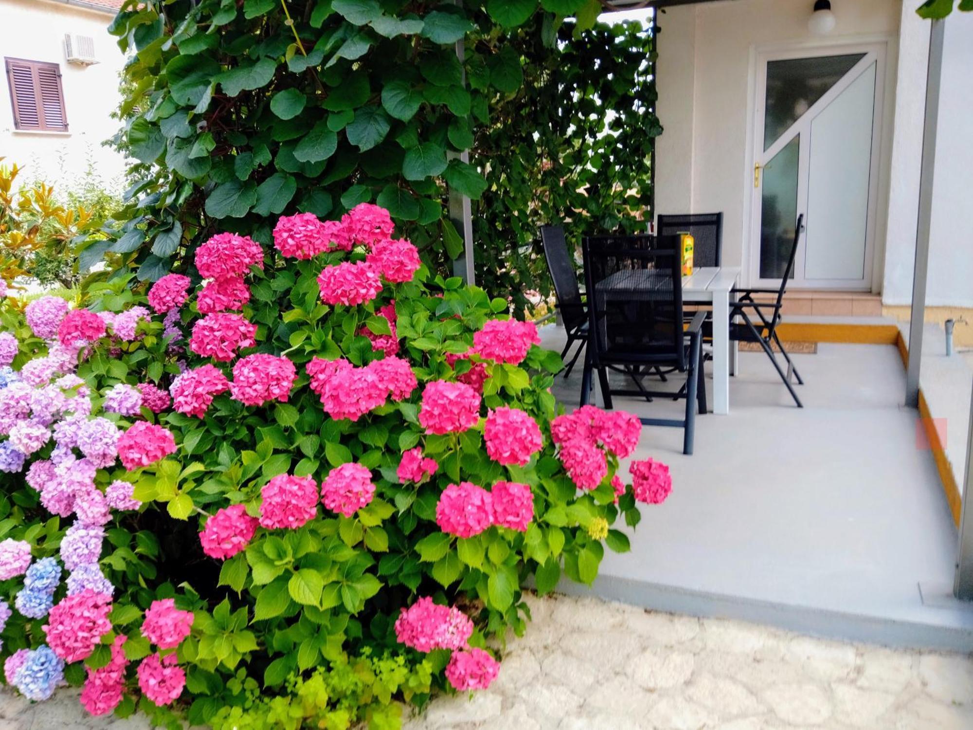 Apartments And Room Markovic Rovinjsko Selo Εξωτερικό φωτογραφία
