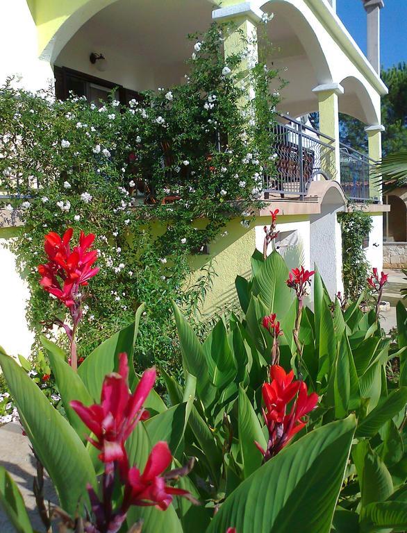 Apartments And Room Markovic Rovinjsko Selo Δωμάτιο φωτογραφία