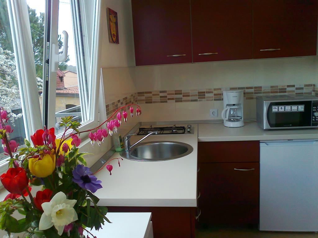 Apartments And Room Markovic Rovinjsko Selo Εξωτερικό φωτογραφία