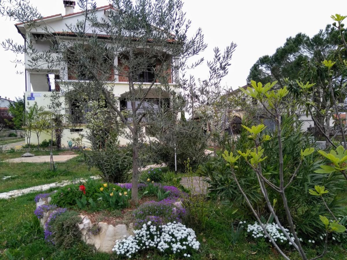 Apartments And Room Markovic Rovinjsko Selo Εξωτερικό φωτογραφία